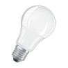 Žarulja A LED 5,5W / 40W, 2700 K, 470 lm, FR